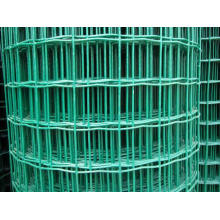 PVC Coated Holland Wire Mesh-PVC-Coated Welded Wire Mesh